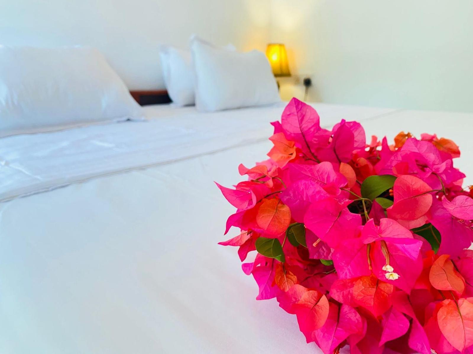 Aaliya Bay Hotel Vịnh Arugam Ngoại thất bức ảnh